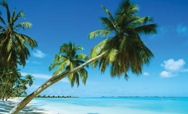 Last Chance Summer Savings Offer