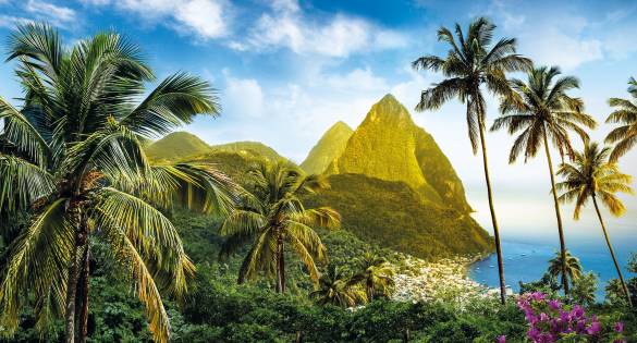 Palm trees and mountains