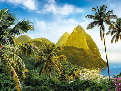 Palm trees and mountains