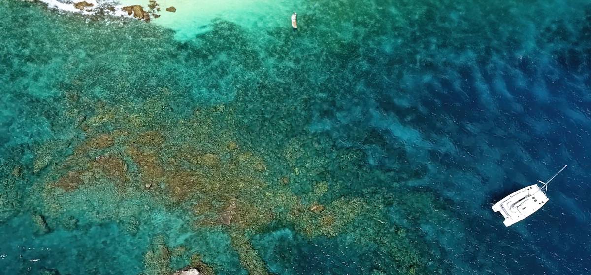 The Moorings Partners with US Sailing