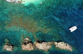 Where to Sail in Summer